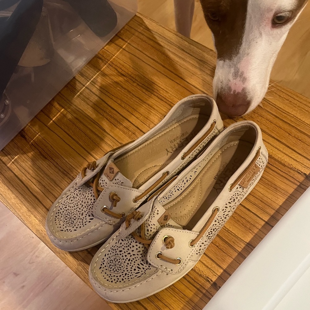 Off White Sperrys